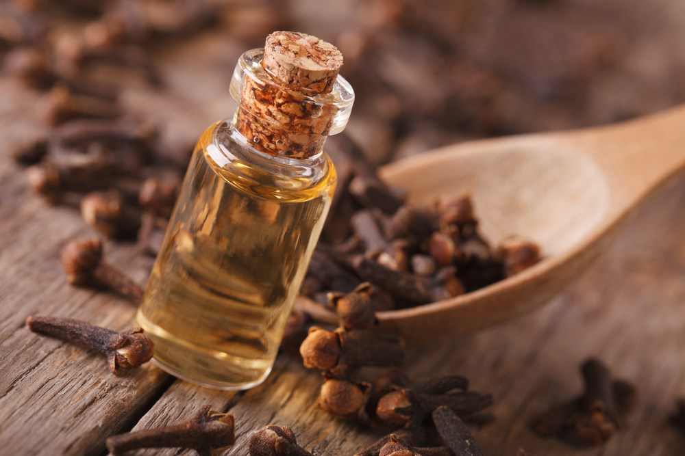 طرق جلب الحبيب بالملح والقرنفل